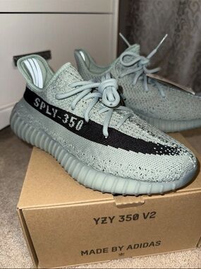 Adidas Yeezy Boost 350 V2 Salt M5.5/W7